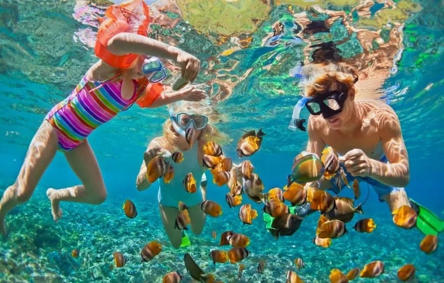 Scuba Diving in Fethiye - 4