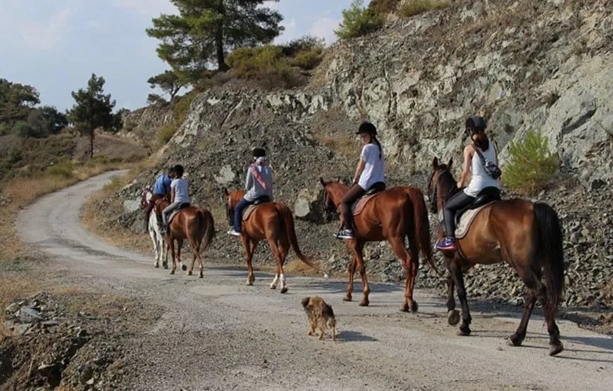 Horse Riding Fethiye - 3