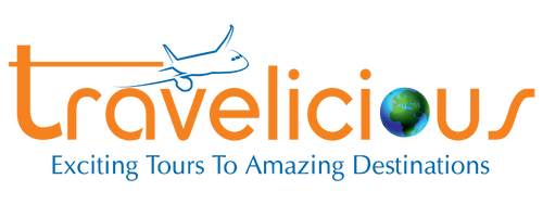 logo icon